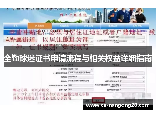 全勤球迷证书申请流程与相关权益详细指南