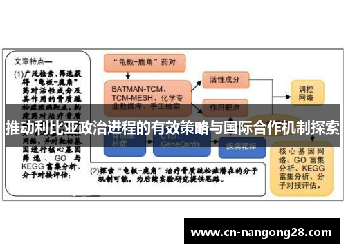 推动利比亚政治进程的有效策略与国际合作机制探索