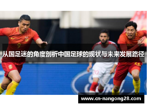 从国足迷的角度剖析中国足球的现状与未来发展路径