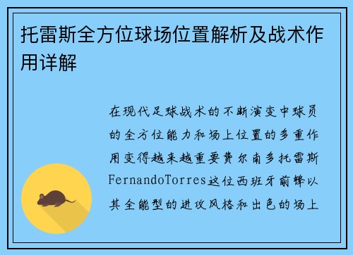 托雷斯全方位球场位置解析及战术作用详解